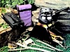 photo of a Innovative Products hike and camp